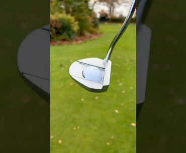 This putter will ‘FETCH’ your Golf Ball for you #golf #golfer #golfing