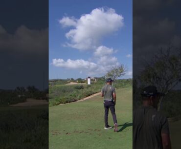 An ACE in Los Cabos 😱