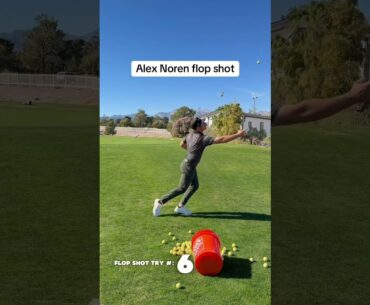 Alex Noren flopshot #shorts #youtubeshorts #golf #golfing #golfer