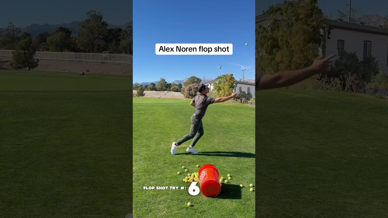 Alex Noren flopshot #shorts #youtubeshorts #golf #golfing #golfer Alex Noren flopshot #shorts #youtubeshorts #golf #golfing #golfer