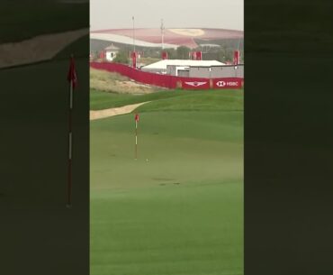 From WAY down-town! 😮‍💨