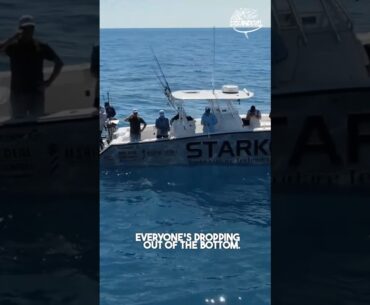 Ryan Morie is putting the Heat on these groupers with the all-new bouncing soul jigs by oceandevil