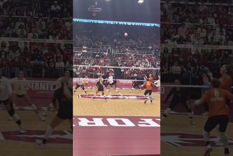 #volleyball  #fyp #waitforit #womensvolleyball