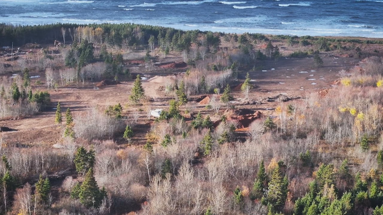 A piece of land with the shoreline in the distance 