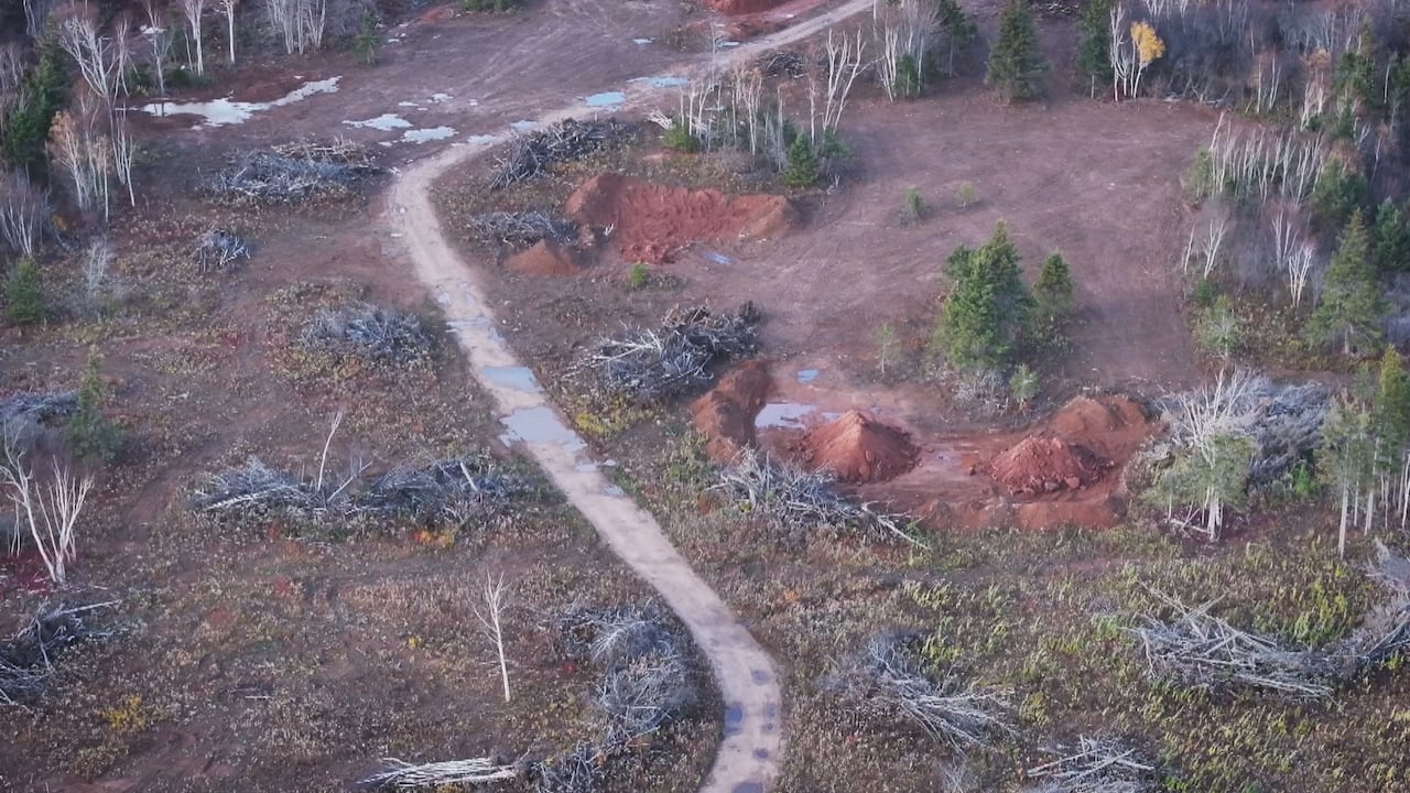 A road cuts through a piece of property with piles of trees and dirt 