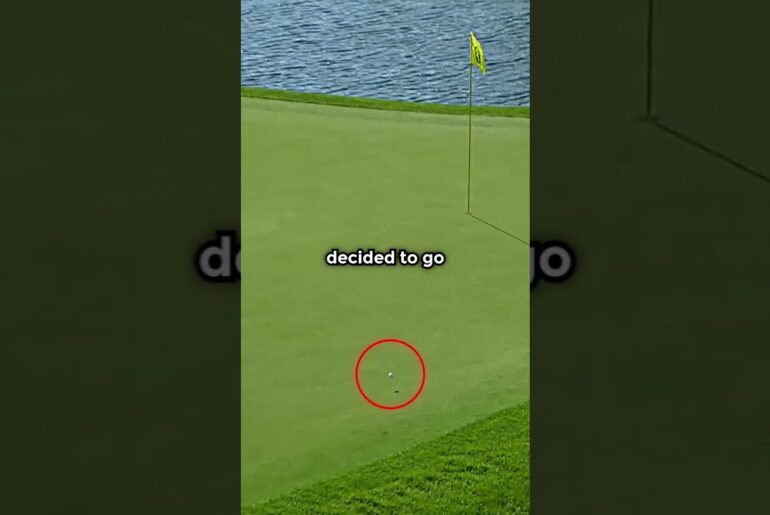 The Proof Tiger Woods Is The Best 🥶⛳