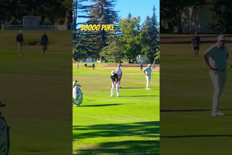 Dart throwing ala Si Woo Kim #flaghunting #pga #pgagolfer #darts #callawaygolf #shorts