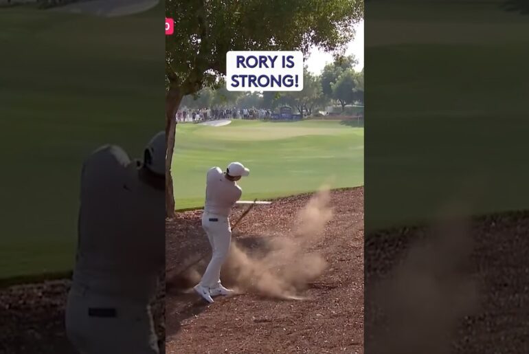 Rory McIlroy 🆚 Tree Root