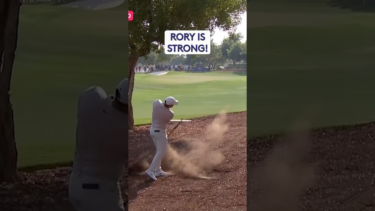 Rory McIlroy 🆚 Tree Root Rory McIlroy 🆚 Tree Root