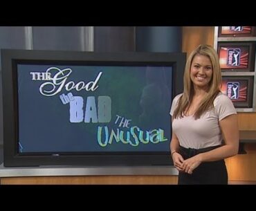 The Good, The Bad and The Unusual on the PGA TOUR: February 2013