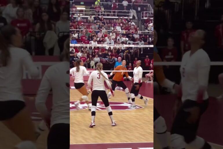 #volleyball  #fyp #waitforit #womensvolleyball