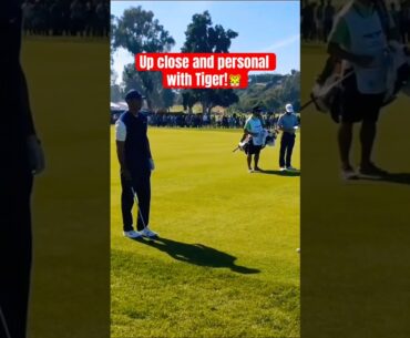 Fan Cam View of Tiger Woods… This Sound Is Unreal