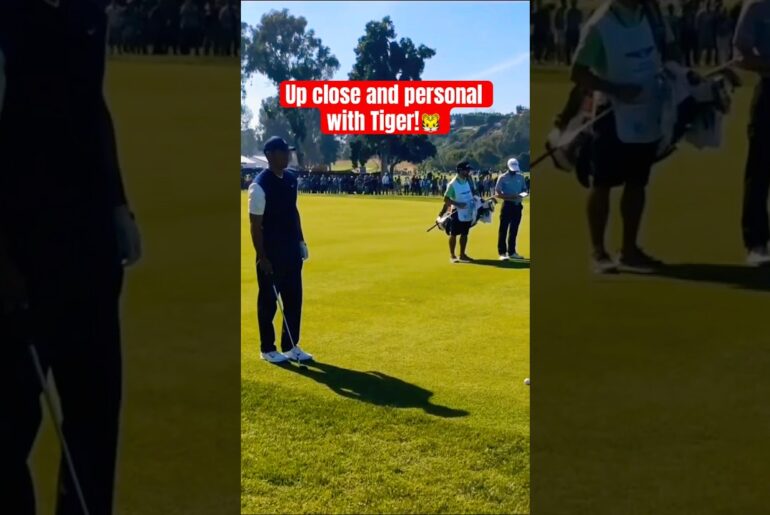 Fan Cam View of Tiger Woods… This Sound Is Unreal