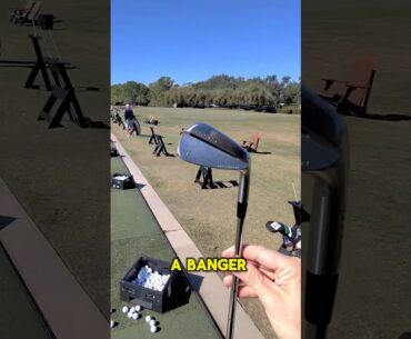 Most Forgiving Blades Ever??