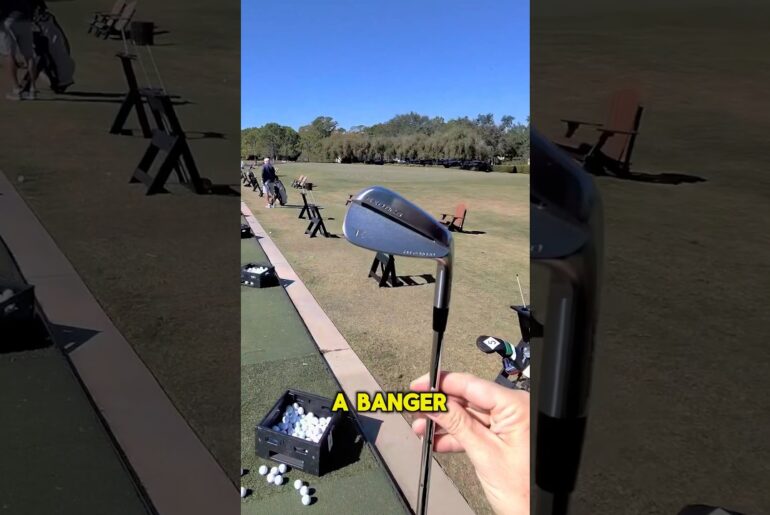 Most Forgiving Blades Ever??