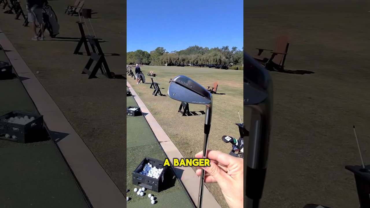 Most Forgiving Blades Ever?? Most Forgiving Blades Ever??