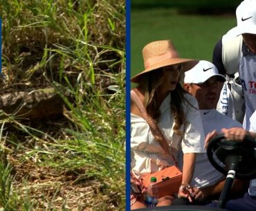 Brooks Koepka withdraws from TOUR Championship after hitting tree root