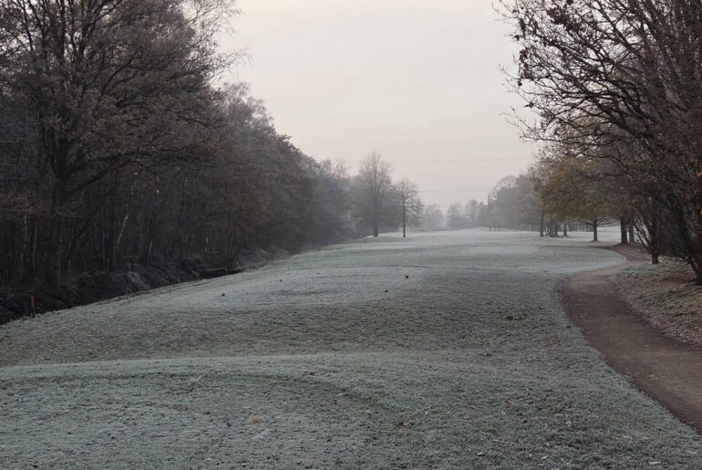 Indeed, morning golf is the best