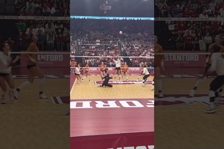 #volleyball  #fyp #waitforit #womensvolleyball