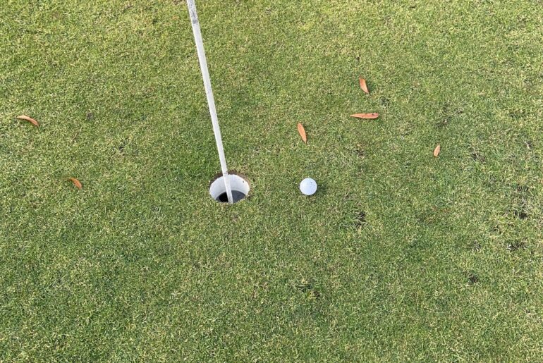 ALMOST had my first ever hole in one today.
