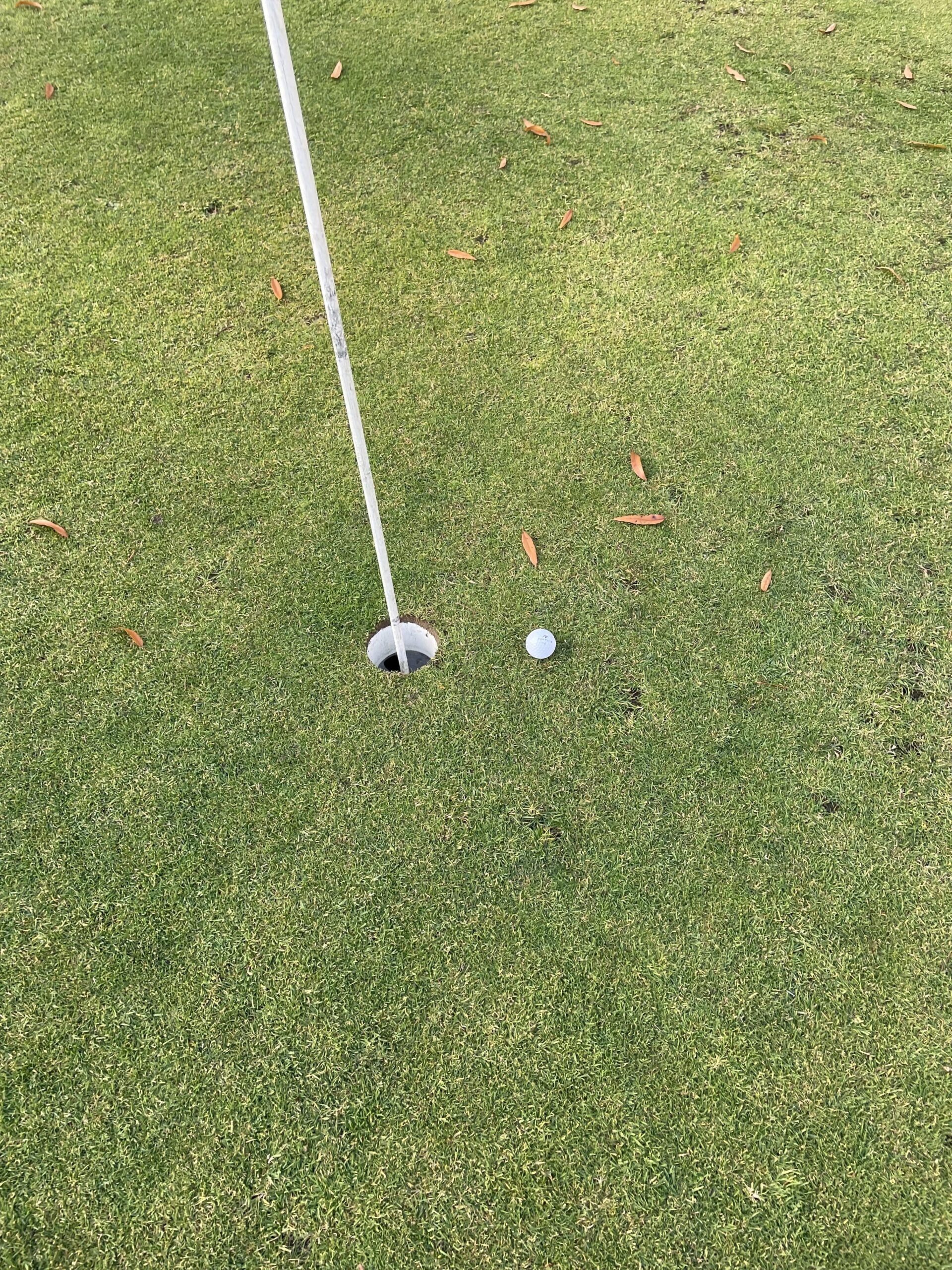 ALMOST had my first ever hole in one today. ALMOST had my first ever hole in one today.