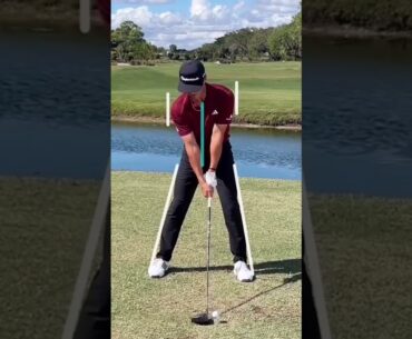 Dropped and Loaded🔥Michael Thorbjornsen🏌️‍♂️