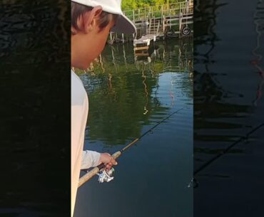 Luke Sight Fishes Crappie from the Dock! 👀🎣 | Sugar Point Resort, Leech Lake