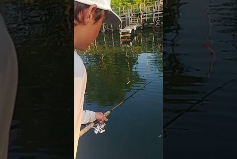 Luke Sight Fishes Crappie from the Dock! 👀🎣 | Sugar Point Resort, Leech Lake
