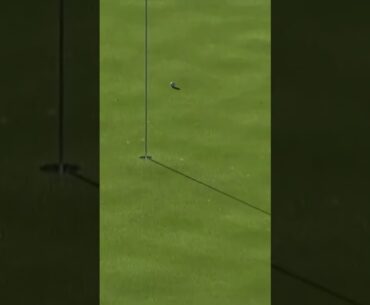 “LDRICK” the robot was dialed in 🎯🐅