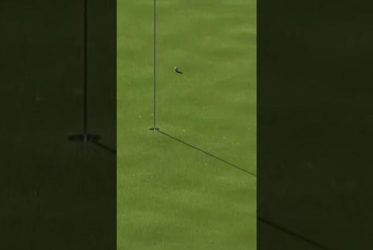 “LDRICK” the robot was dialed in 🎯🐅