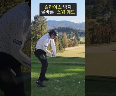 드라이버 슬라이스 방지, 올바른 스윙 플레인, 스윙 궤도 #김성현