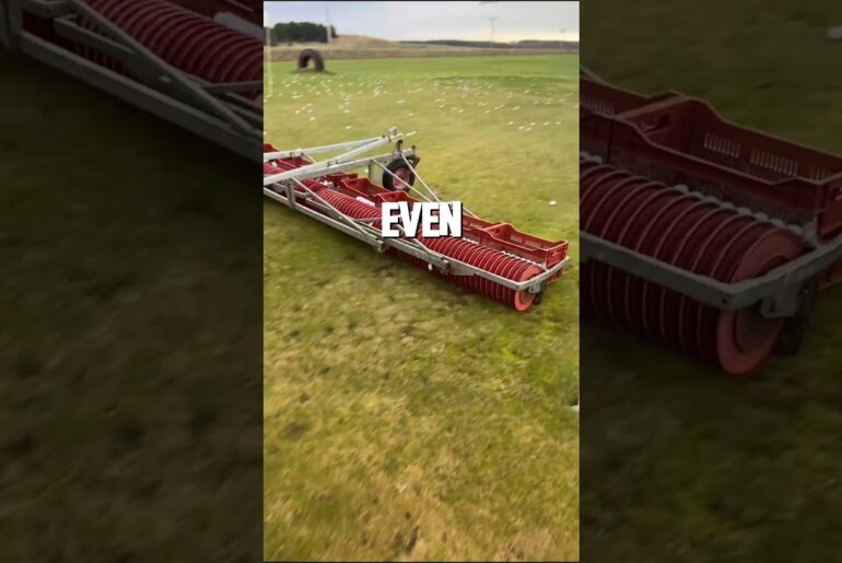 How Do Golf Ball Collectors Work