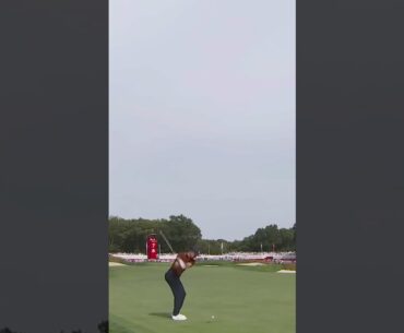 Ridiculous from Rose! 🔥