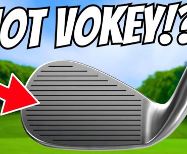 These FORGED Clubs Could DESTROY The Biggest Brand In Golf!?