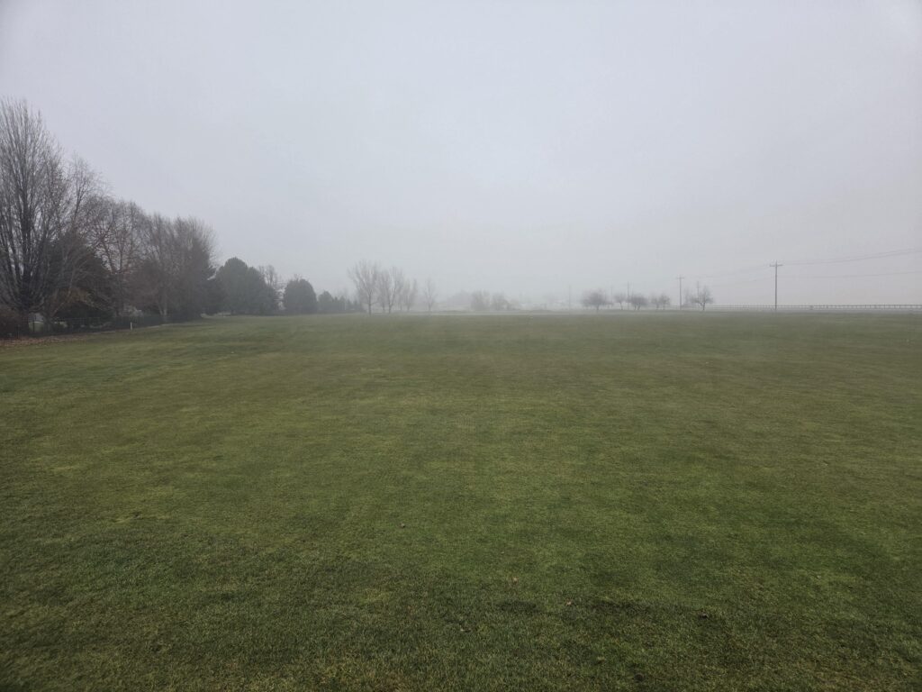 Anyone getting a Thanksgiving round in?