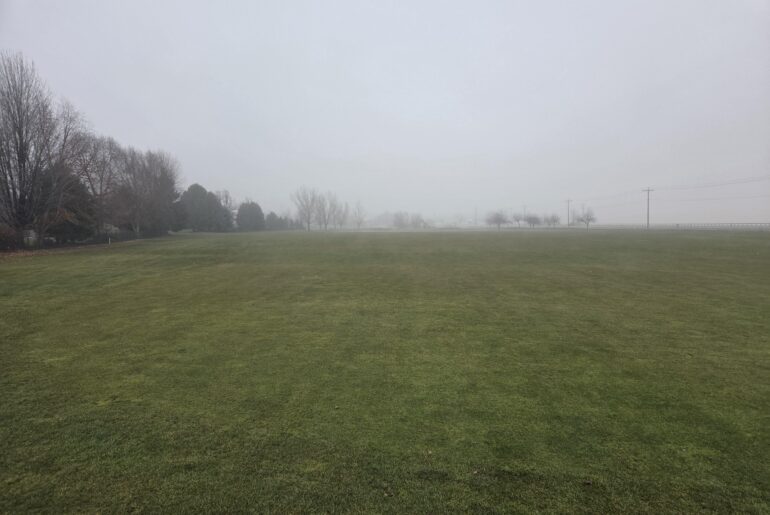 Anyone getting a Thanksgiving round in?