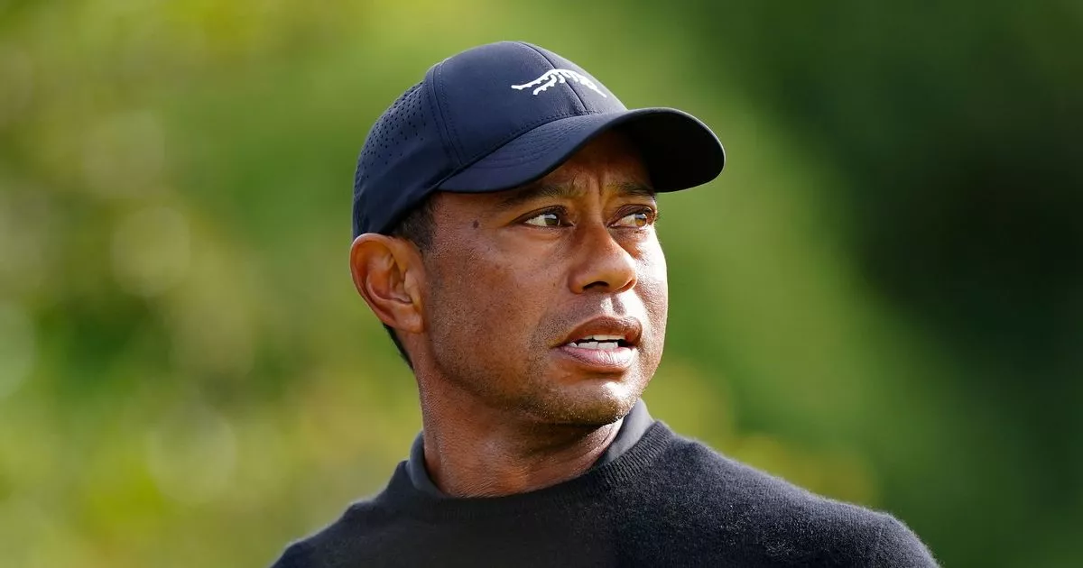 Colin Montgomerie sends Tiger Woods new message after ‘what the hell is he doing’ comment Daily Mirror