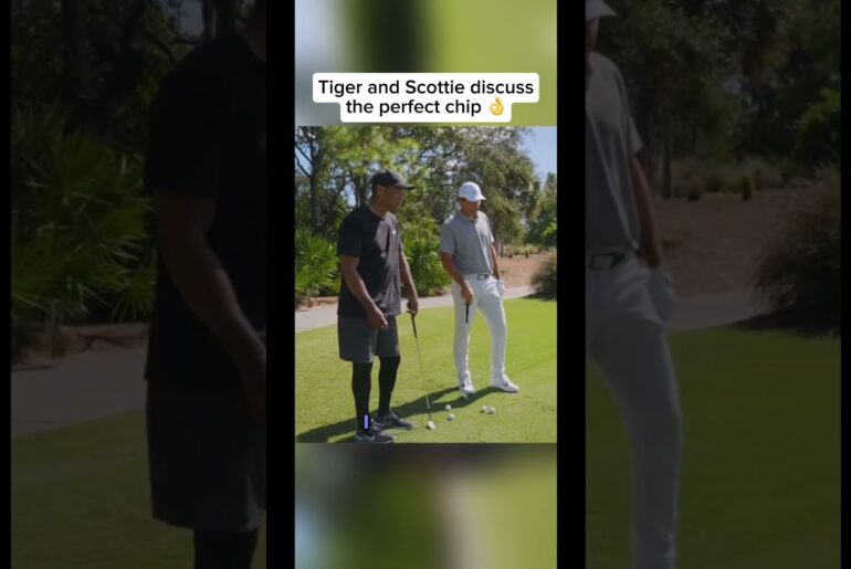 Tiger and Scottie discuss the perfect chip #golf #shorts