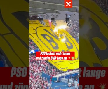 Respektlos von den PSG Fans? #bvb #ucl