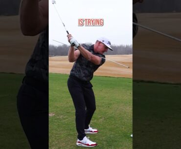 PROS DO THIS To Get SHALLOW!