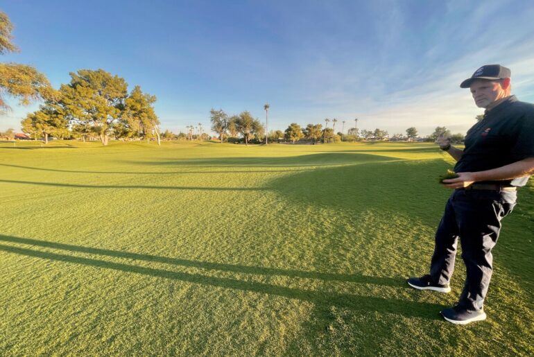Recreation Centers of Sun City West Environmental Services Manger Todd Patty looks over the new TifTuf Bermuda grass at the number nine hole at Echo Mesa Golf Course.