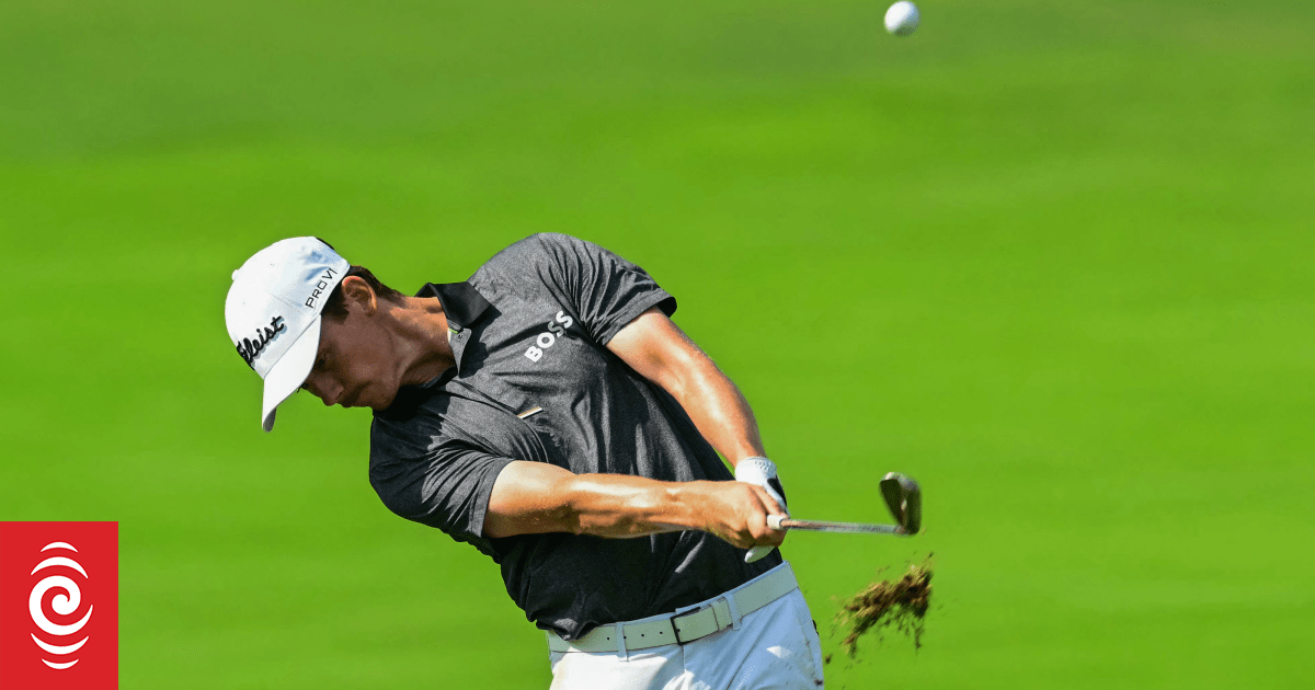 Golf: Daniel Hillier misses place on PGA Tour Golf: Daniel Hillier misses place on PGA Tour