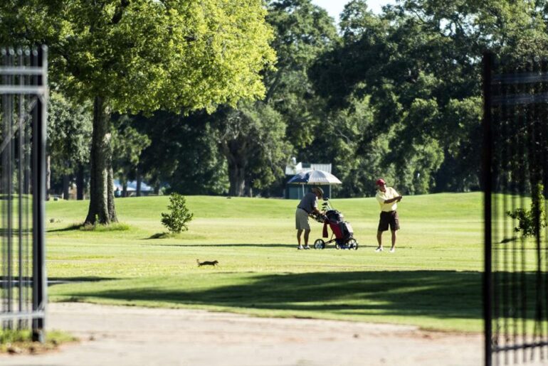 Lafayette rolls out 25% weekday golf discount for veterans at all three city courses | News