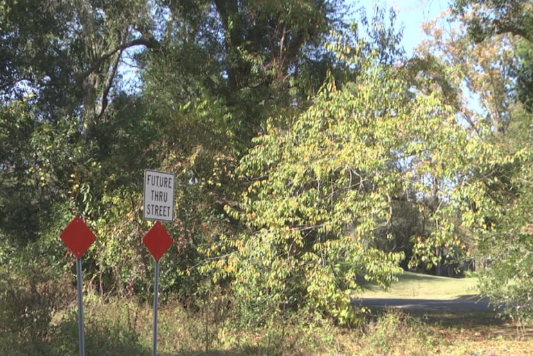 A Gainesville wildlife area could be the site of a new University of Florida golf course