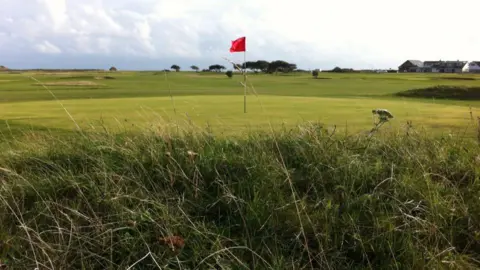 Solent Meads Golf course with red flag standing in hole and long grass bordering the fairway.