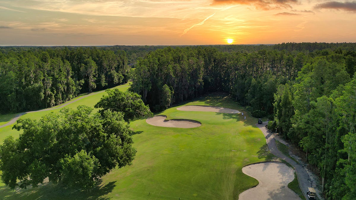 Rees Jones renovates the courses at Saddlebrook Resort in Florida Rees Jones renovates the courses at Saddlebrook Resort in Florida