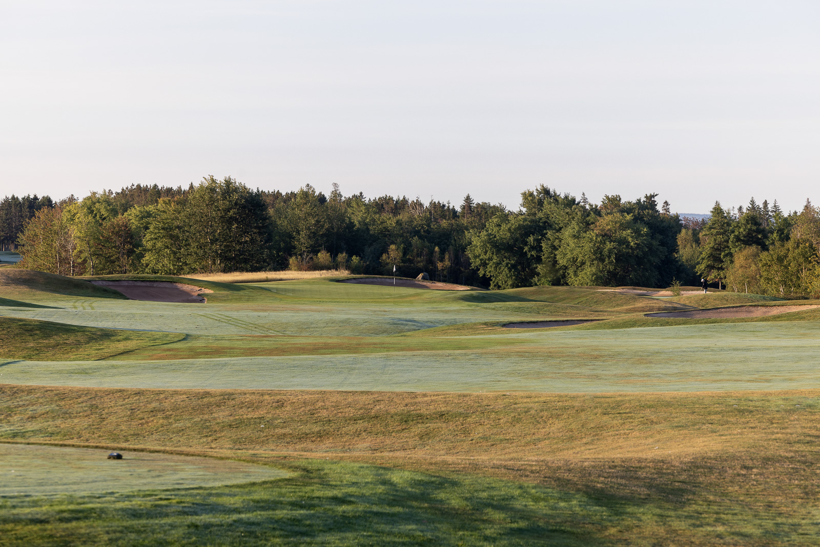 Fox Harbr Vineyard Course