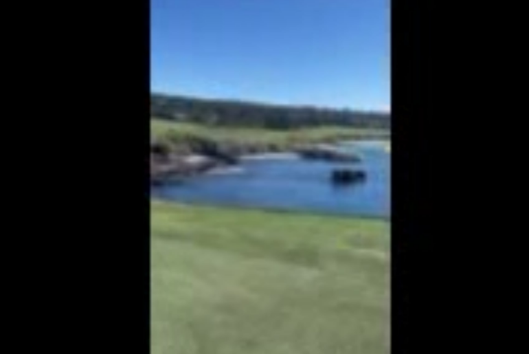 Leaving my grandfather on 18 at pebble. In accordance with his wishes.