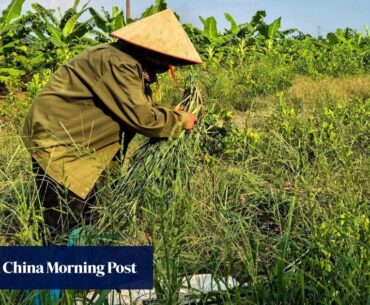 Angry Vietnam farmers take swing at Trump-branded US$1.5 billion golf resort