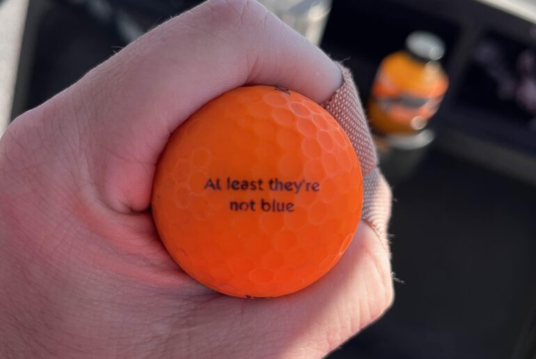 Found on the course today
